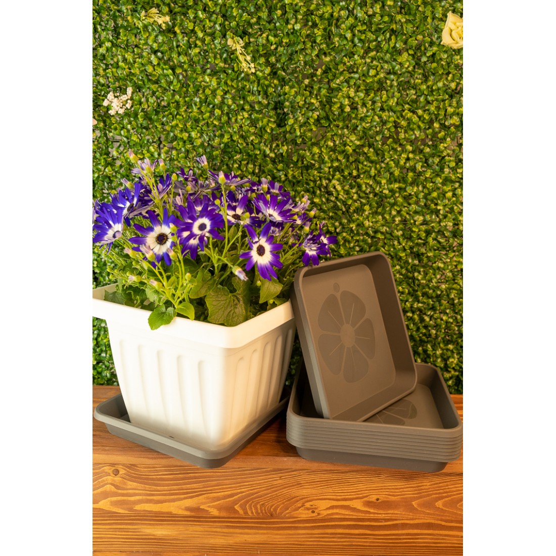 Plant Pot Saucers Square Grey